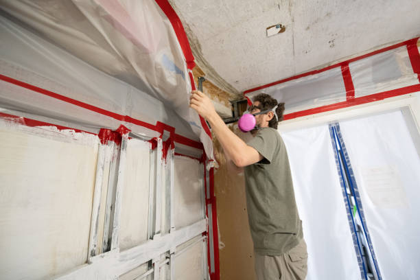 Asbestos and Lead Testing During Mold Inspection in East Hampton North, NY